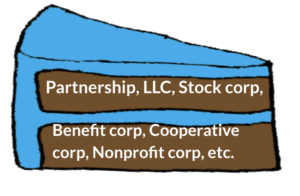 A slice of cake where the icing is blue and represents tax status subchapter C and the cake is brown and represents partnership, LLC, stock corp, benefit corp, and cooperative corp and non-profit corp.