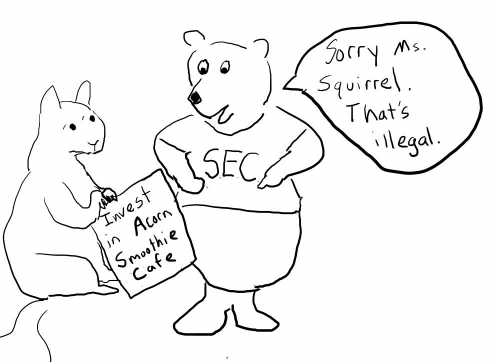 Bear telling squirrel it is illegal to use securities as an investment.