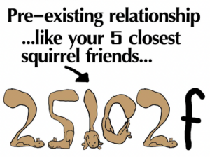 Pre-existing relationship...with your five closest squirrel friends.